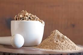 Mushroom Extracts and Powders